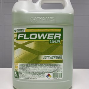 THAMES DESOD PISO X 5L LIMON