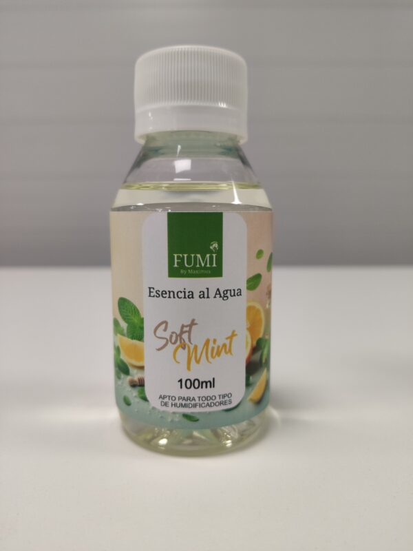 FUMI ES. AL AGUA SOFT MINT 100ML