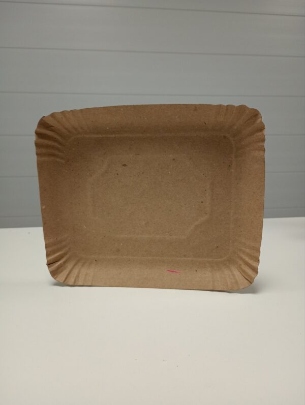 BANDEJA CARTON N02