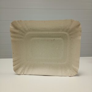 BANDEJA CARTON N03