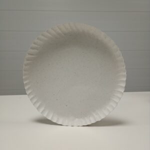 BANDEJA CARTON N12