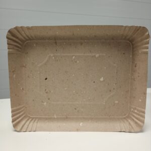 BANDEJA CARTON N06