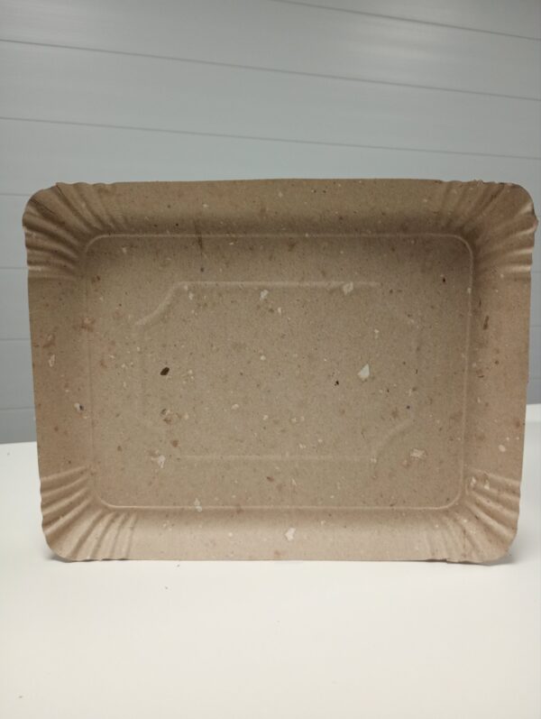 BANDEJA CARTON N06
