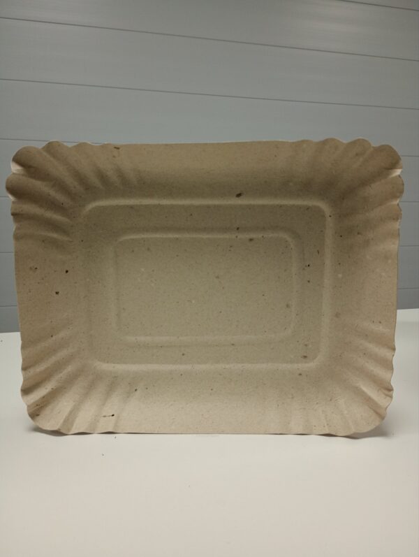 BANDEJA CARTON N05
