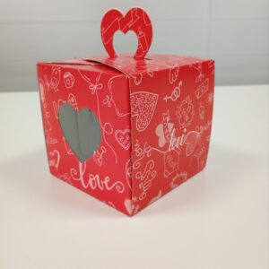 CAJA REG CUBO 10*10*10