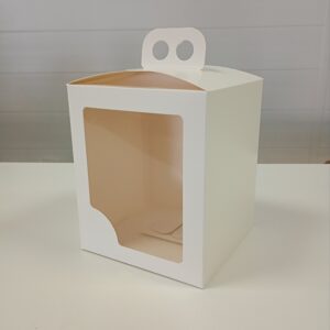 CAJA REG MALETIN PD 15*15*18