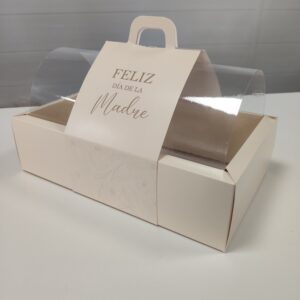 CAJA REG MADRE BUZON