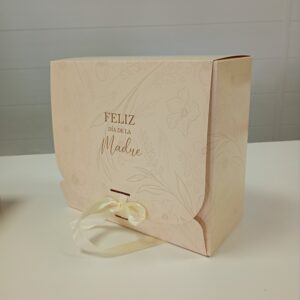 CAJA REG PRINCESS